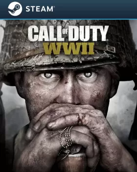 Call of Duty WWII (Cuenta Steam)