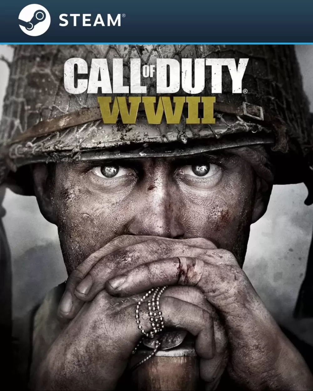 Call of Duty WWII (Cuenta Steam)